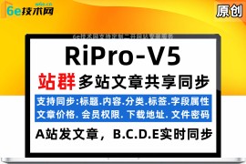 WP 插件- 【RiPro-V5-多站文章同步更新】A站发布文章-B-C-D站点同时更新同文章-支持各类参数权限同步
