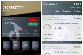 tiktok多语言抢单系统源码/海外源码/带文本搭建教程