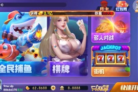 网狐系列728电玩 850电玩平台