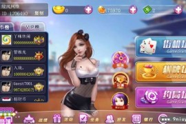 傲玩系列至尊版中富棋牌组件