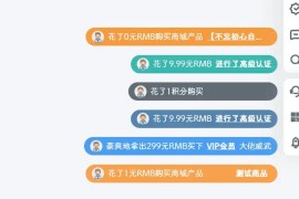 价值60元B2信息弹幕高级插件版，付费弹幕插件