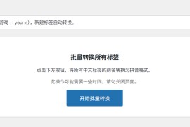 WordPress-中文标签转英文-标签别名自动转拼音