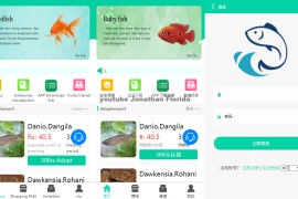 养鱼金融投资理财源码 支持商城 抽奖 投资收益余额宝等！ 双语言支持中英文