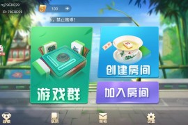 盛游 河南全地区麻将扑克地方玩法 全源码提供