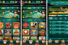 印度Rummy包网,印度综合盘包网,印度电子包网全套源码