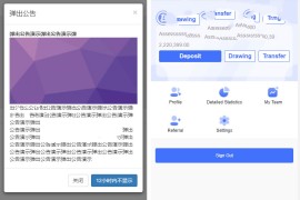 双语言版虚拟币投资系统 USDT充值源码