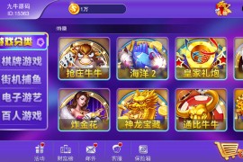 富贵5系列-富贵5飞娱带银商端完整镜像一键搭建端，带详细搭建教程