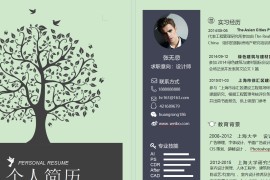 100多套高质量个人简历word模板下载