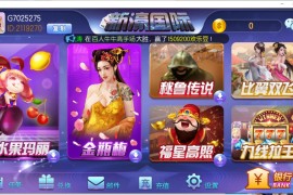 傲玩二开新濠娱乐电玩城组件