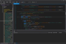 dnSpy反编译工具 v6.5.1中文版