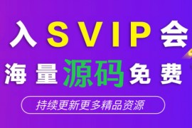 关于【VIP开通】与【权限说明】