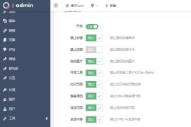 WPCopyRights网站防复制插件WordPress插件