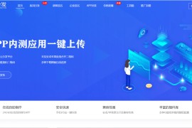 仿第八区分发源码/APP封装打包/ios免签封装打包/H5封装打包/企业签名